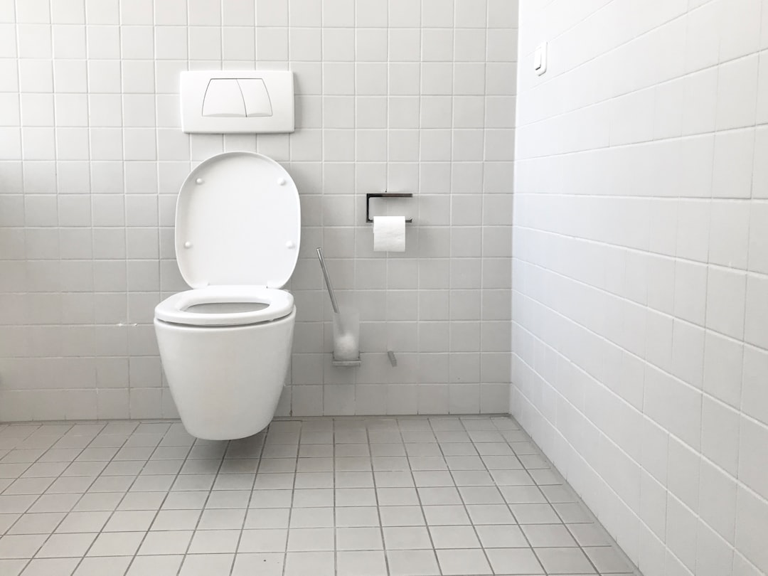 Déboucher WC bouché : 5 méthodes avant d’appeler un plombier